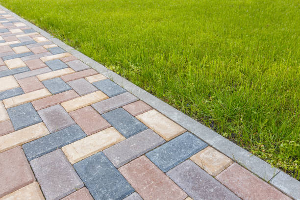 Best Driveway Paving Contractor  in Bryn Mawr, PA